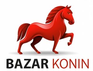 logo_bazar_konin_pl_1